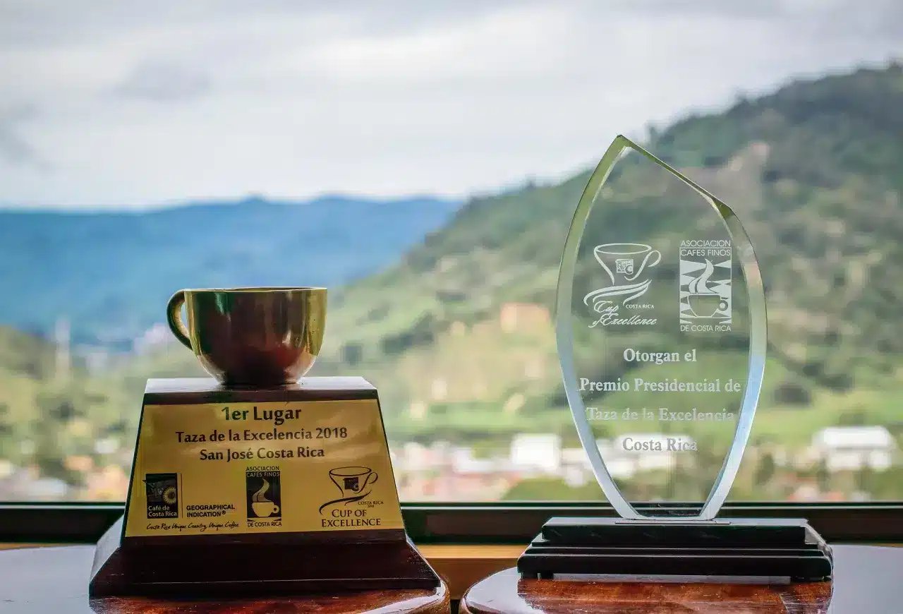 Premios Taza de la Excelencia
